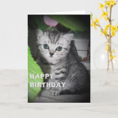 Silver gepunktet - Kitten Geburtstagskarte Karte (Gelbe Blume)