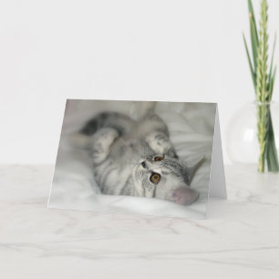 Silver Gepunktet Kitten Grußkarte Karte