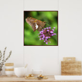 Silver Gepunktet Skipper Poster (Küche)