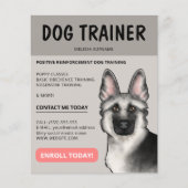 Silver German Shepherd Dog Trainer Pet Service Flyer (Vorne)