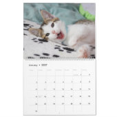 Silver Glitzer Rose Gold Foil Monogram Foto Kalender (Jan 2027)