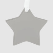 Silver Glitzer Star Ornament (Rückseite)