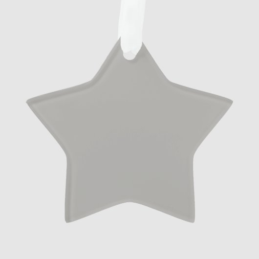 Silver Glitzer Star Ornament (Rückseite)