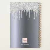 Silver Glitzer Tropfen 2025 Planer (Rückseite)