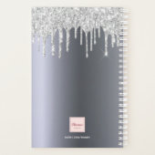 Silver Glitzer Tropfen 2026 Planer (Rückseite)