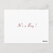 Silver Gold Glitzer Baby Boy Shower Einladung Postkarte (Rückseite)