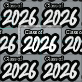 Silver Gray Bold Brush Class of 2026 Stoff (Kachel)