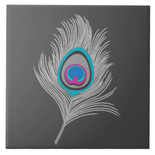 Silver Gray / Gray Peacock Feather on Graphite Fliese