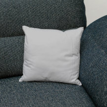 Silver Gray Schlicht Solid Color