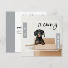 Silver Gray Wir bewegen Dackel Hund in Box Card Dankeskarte