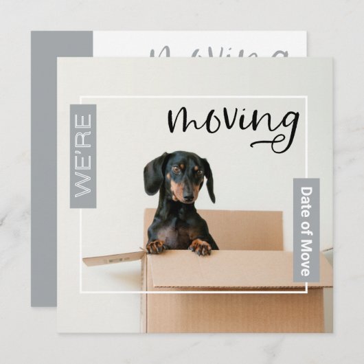 Silver Gray Wir bewegen Dackel Hund in Box Card Dankeskarte (Vorne/Hinten)