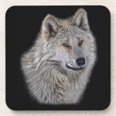 Silver Gray Wolf Wildlife Portrait Untersetzer (Vorderseite)