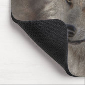 Silver Gray Wolf Wilhelm Tell Mousepad (Ecke)