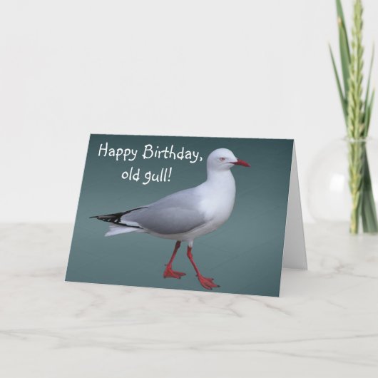 Silver Gull Card Karte (Vorderseite)