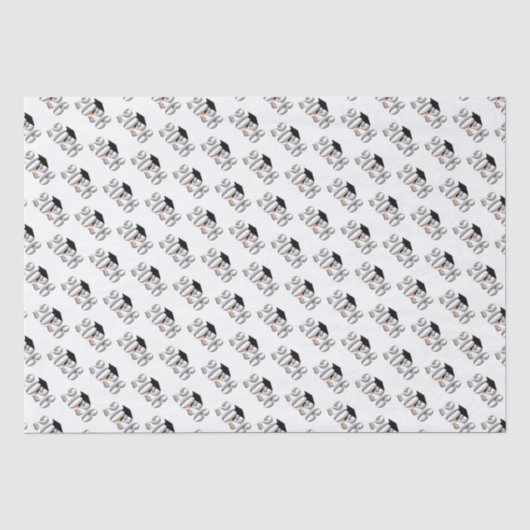 Silver-Klasse des Abschlusses 2026 Seidenpapier (Vorderseite)