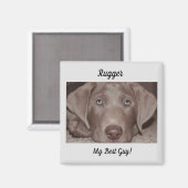 Silver Labrador "Mein bester Typ" Magnet (Vorderseite/Rückseite)