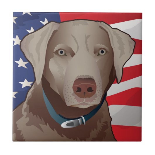 Silver Labrador Retriever of America Fliese (Vorderseite)