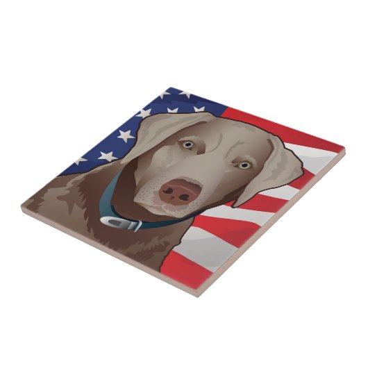Silver Labrador Retriever of America Fliese (Seite)