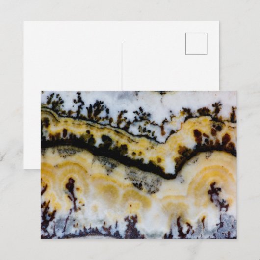 Silver Lace Onyx Postkarte (Vorne/Hinten)