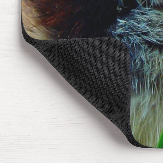 Silver Lacke Cochin Chick in Studio Einstellung Mousepad (Ecke)