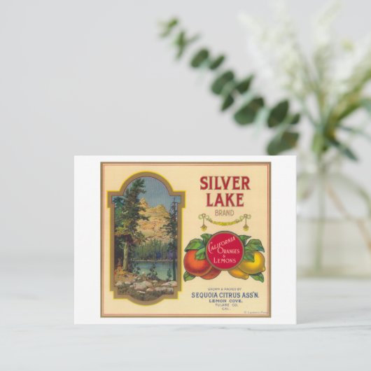 Silver Lake Orange LabelLemon Cove, CA Postkarte (Stehend Vorderseite)