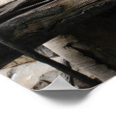 Silver Langur Affentruppe mit Baby Poster (Ecke)