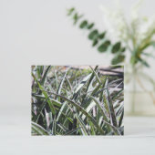 Silver Leopard # 2 Postkarte (Stehend Vorderseite)