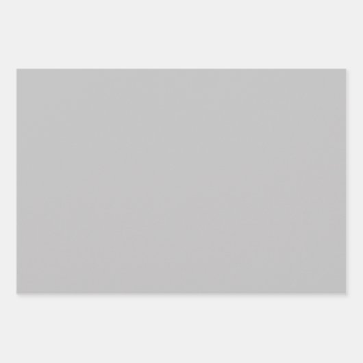 Silver Leopard Gray Meow Kitty Cat Geschenkpapier Set (Vorderseite 3)