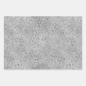 Silver Leopard Gray Meow Kitty Cat Geschenkpapier Set (Vorderseite)