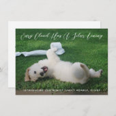 Silver Lining Foto Pet Adoption Ankündigung (Vorne/Hinten)