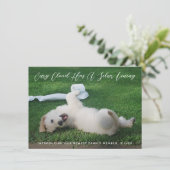 Silver Lining Foto Pet Adoption Ankündigung (Stehend Vorderseite)