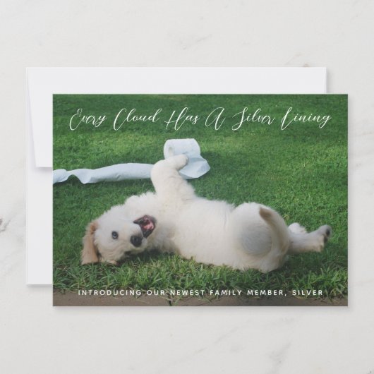 Silver Lining Foto Pet Adoption Ankündigung (Vorderseite)