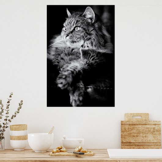 Silver Long Hair Tabby Cat Poster (Küche)