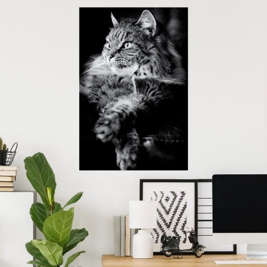 Silver Long Hair Tabby Cat Poster (Heimbüro)