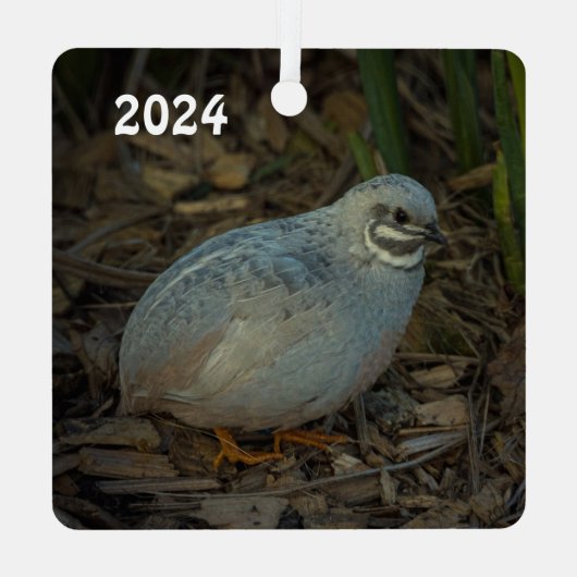 Silver Male Button Quail im Gras Ornament Aus Metall (Rückseite)