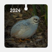 Silver Male Button Quail im Gras Ornament Aus Metall (Vorderseite)