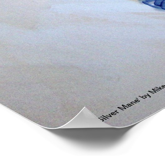 Silver Mane Horse Walking Akrylic Painting Poster (Ecke)