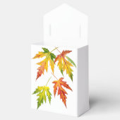 Silver Maple auf einem Gefallen Geschenkschachtel (Geöffnet)