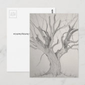 Silver Maple Postkarte (Vorne/Hinten)