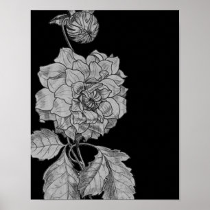 Silver Peony Blume über Schwarze Flora Kunst Poster