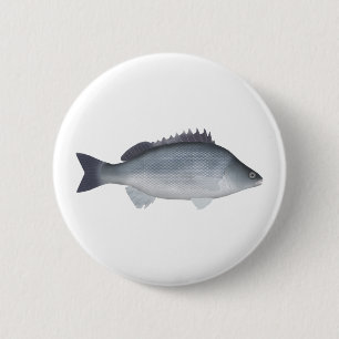 Silver Perch Button