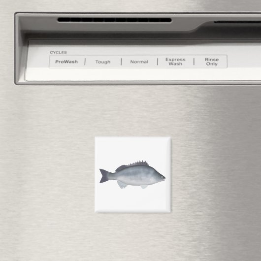 Silver Perch Magnet (In Situ (Geschirrspüler))