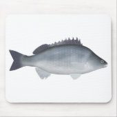 Silver Perch Mousepad (Vorne)