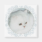 Silver Persian Cat Head Study Magnet (Vorne)