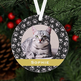 Silver Pet Paw Prints Gold Custom Cat Name Foto Ornament