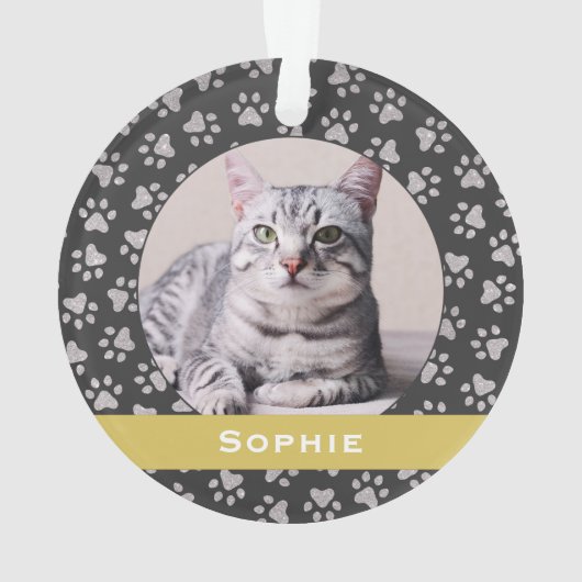 Silver Pet Paw Prints Gold Custom Cat Name Foto Ornament (Rückseite)