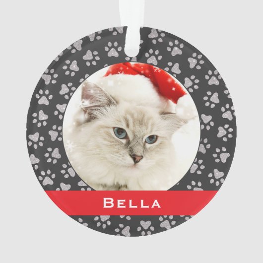 Silver Pet Paw Prints Red Custom Cat Name Foto Ornament (Rückseite)