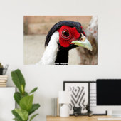 Silver Pheasants Poster (Heimbüro)