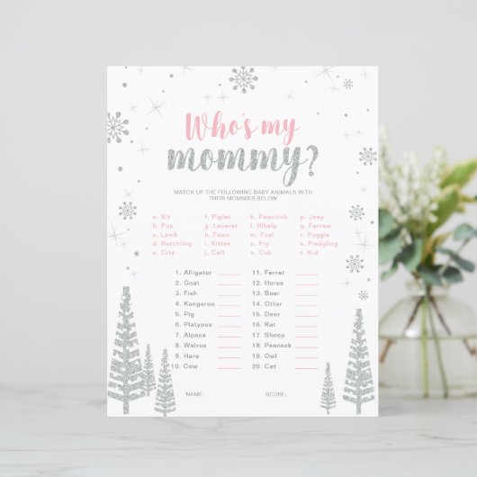 Silver & Pink Winter Wonderland Baby Showspiel (Stehend Vorderseite)