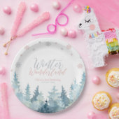 Silver & Pink Winter Wonderland Schneeflocke Gebur Pappteller (Party)